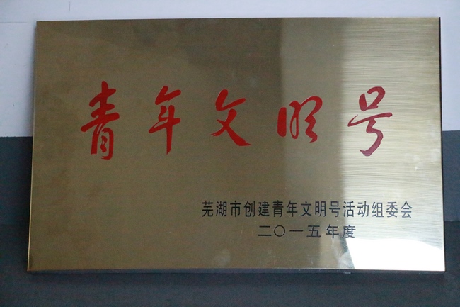 我院新院區(qū)腫瘤科、ICU被新授予市級“青年文明號”(圖1)